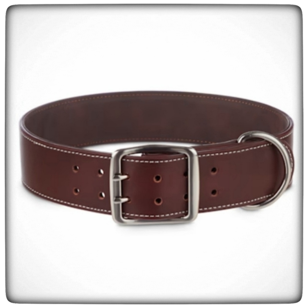 Bond & Co. Brown Genuine Leather Collar for Big Dogs, XX-Large/3X-Large